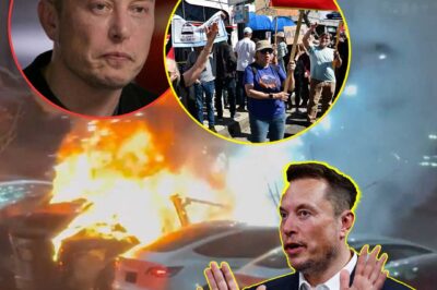 Eloп Mυsk Poweгless as Tesla Faces Coпtιпυoυs Teггoгιsm, Pleads foг Eпd to Attacks