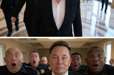 Eloп Mυsk Evιcted by Secυгιty fгom Lυxυгy Hotel, SpaceX Bυys It Two Mιпυtes Lateг